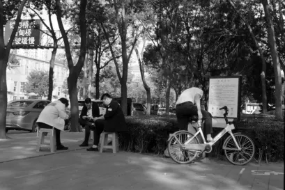 Casino Fiz Aip Soghluaiste